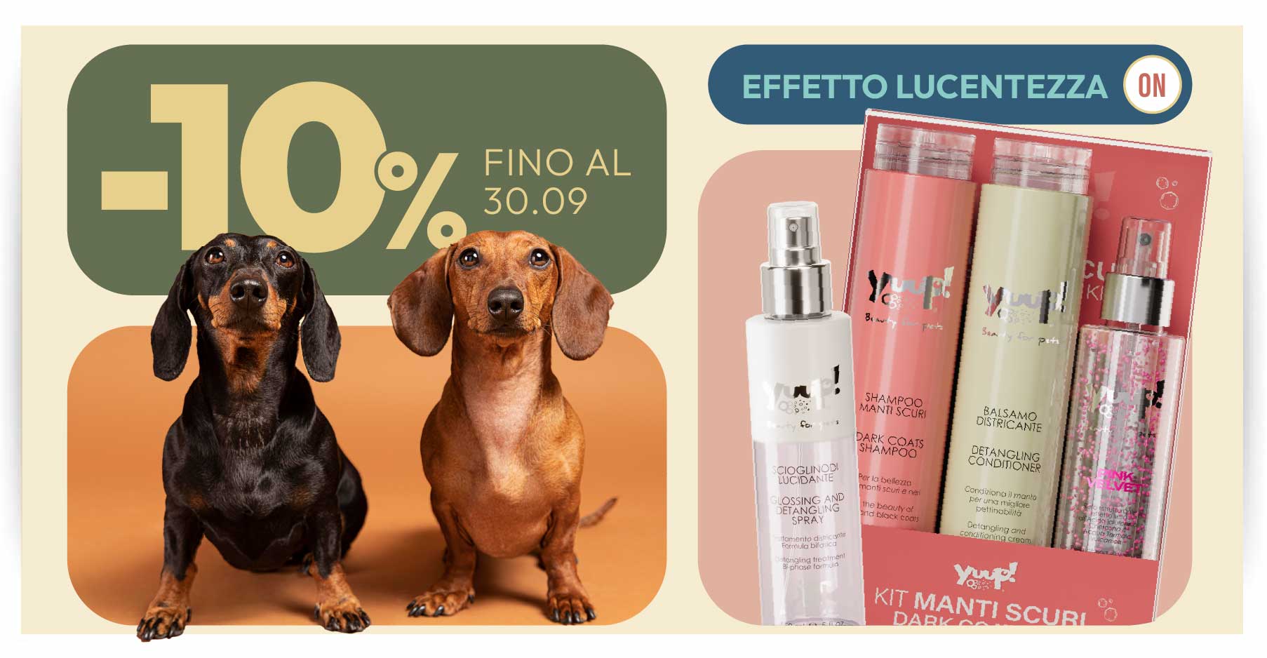 10% su categoria Lucentezza